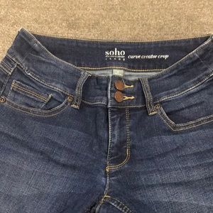 2 button curve creator crop